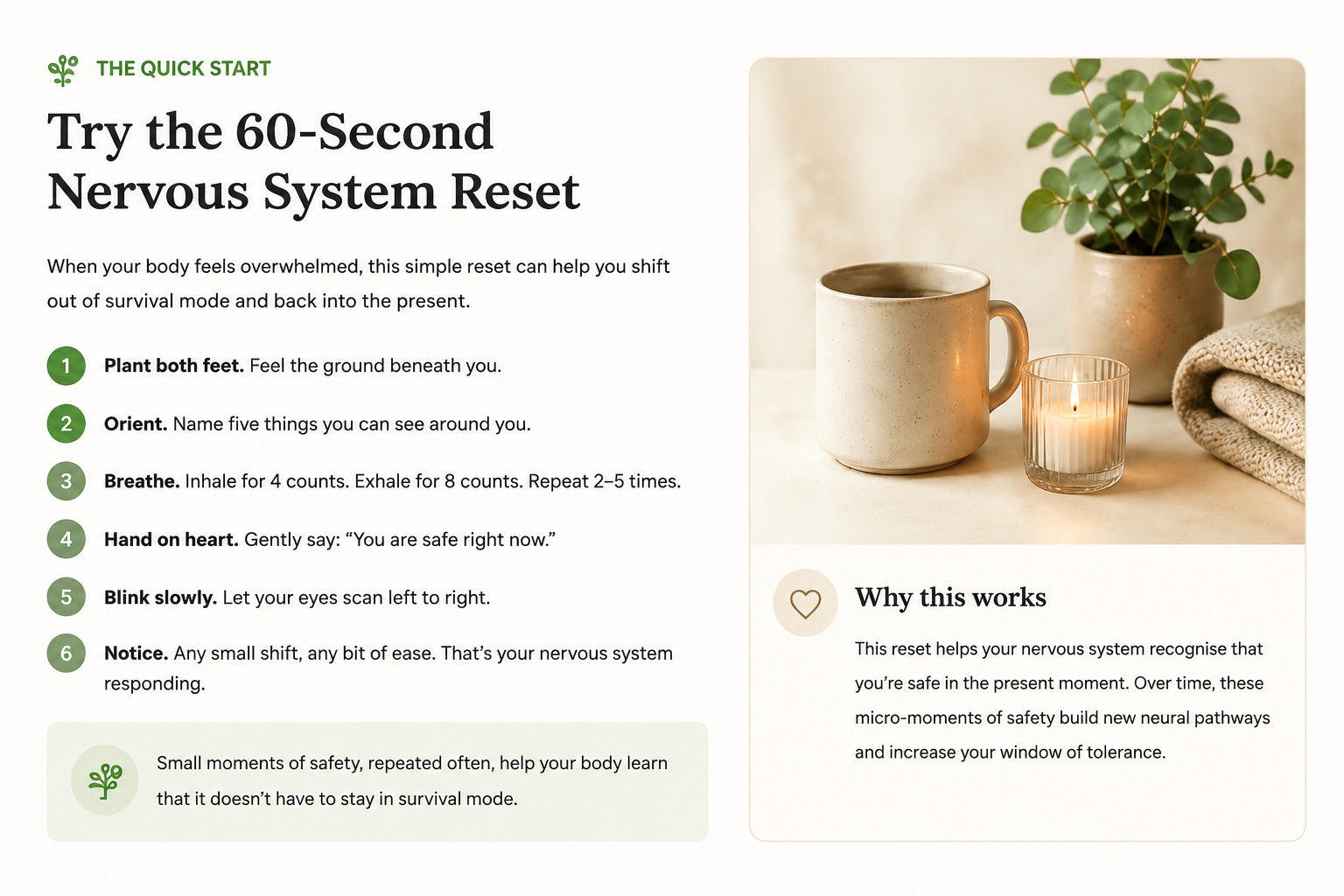 60-second nervous system reset exercise showing grounding techniques, breathing, orientation, and self-regulation steps to help calm the body during stress or overwhelm.