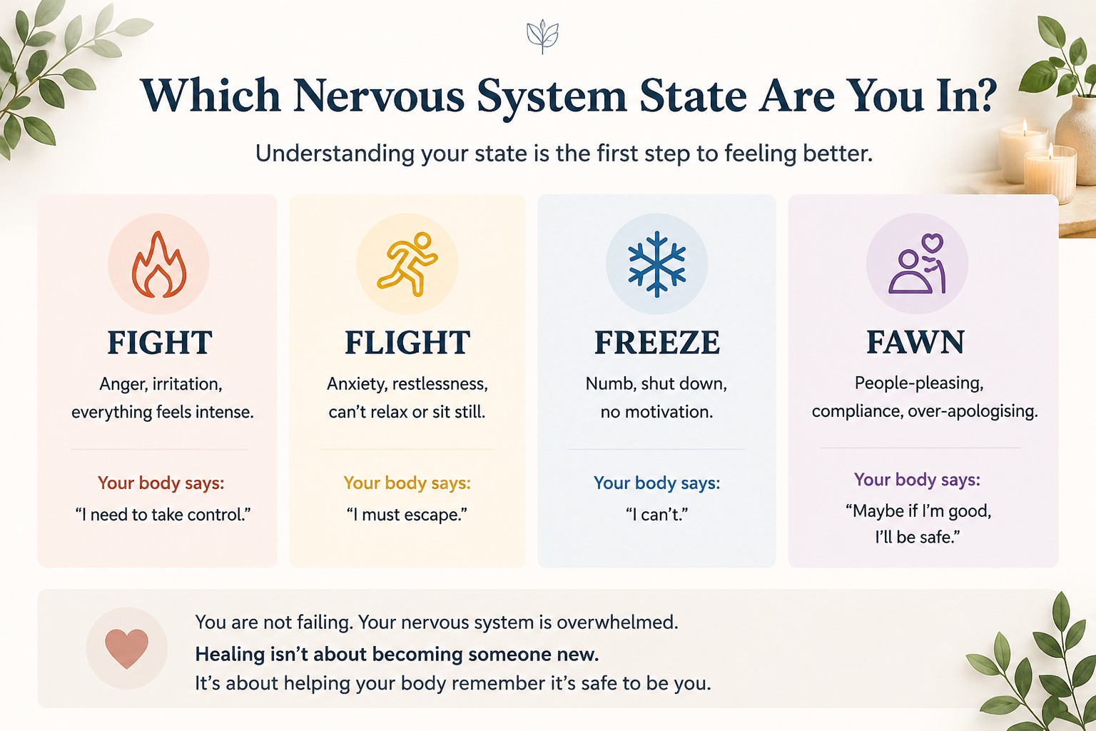 Infographic showing the four nervous system survival states—fight, flight, freeze and fawn—with their common emotional responses and behaviours after trauma or chronic stress.