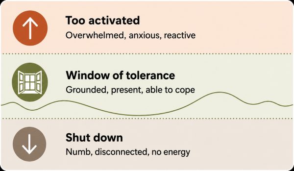 Window of tolerance infographic showing hyperarousal, grounded regulation and shutdown states of the nervous system
