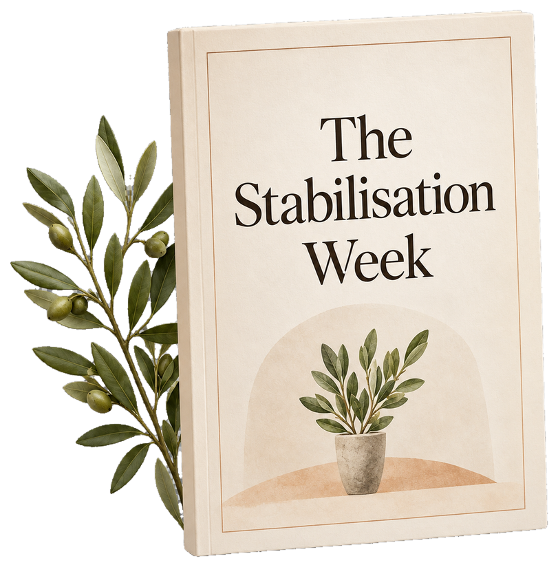 The Stabilisation Week seven-day emotional recovery guide inner growth