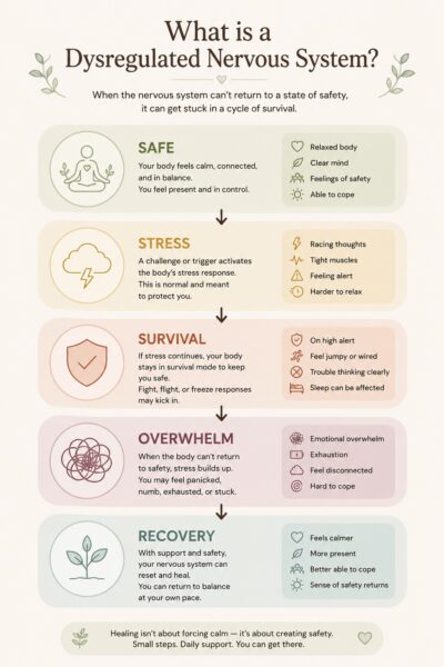 What Is a Dysregulated Nervous System A Simple Visual Guide