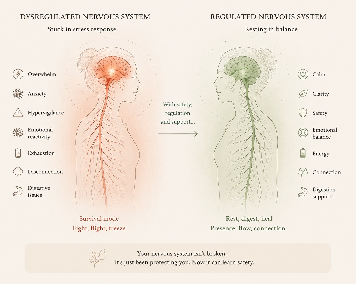 nervous system reset after emotional breakdown
