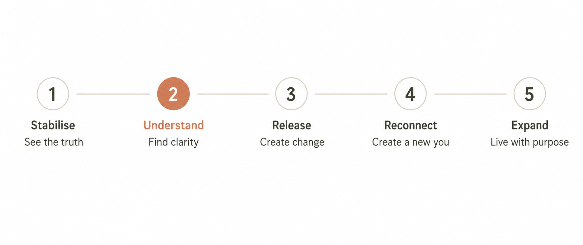 Five-stage growth pathway from Stabilise to Expand, with Stage 2: Understand highlighted.